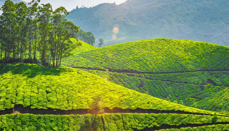 beautiful hill stations of south india,travel,tourism,holidays