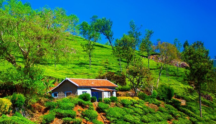 best hill stations in india for summer,summer destinations in india,hill stations to visit during summer,top hill stations for summer vacations,cool getaways in india for summer,scenic hill stations for summer retreats,popular summer hill stations in india,best summer holiday destinations in the hills,hill stations with pleasant weather in summer,must-visit hill stations in india for summer