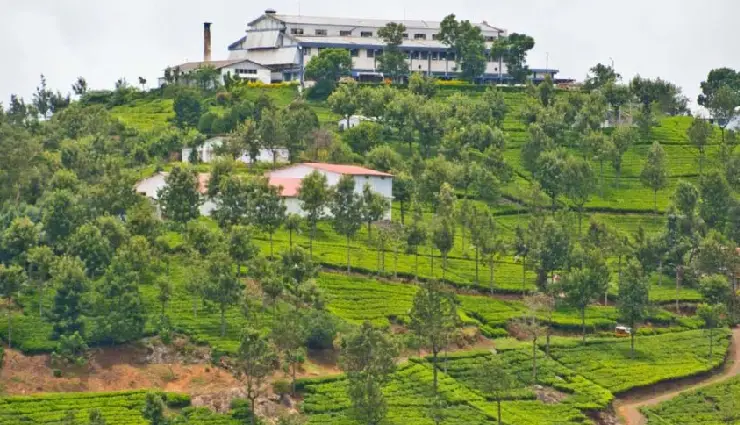 hill stations in south india,best hill stations in south india,top hill stations to visit in 2025,summer vacation in south india,munnar hill station guide,ooty travel attractions,coorg tourism places,lambasingi hill station,vythiri travel guide,vagamon hill station tourism