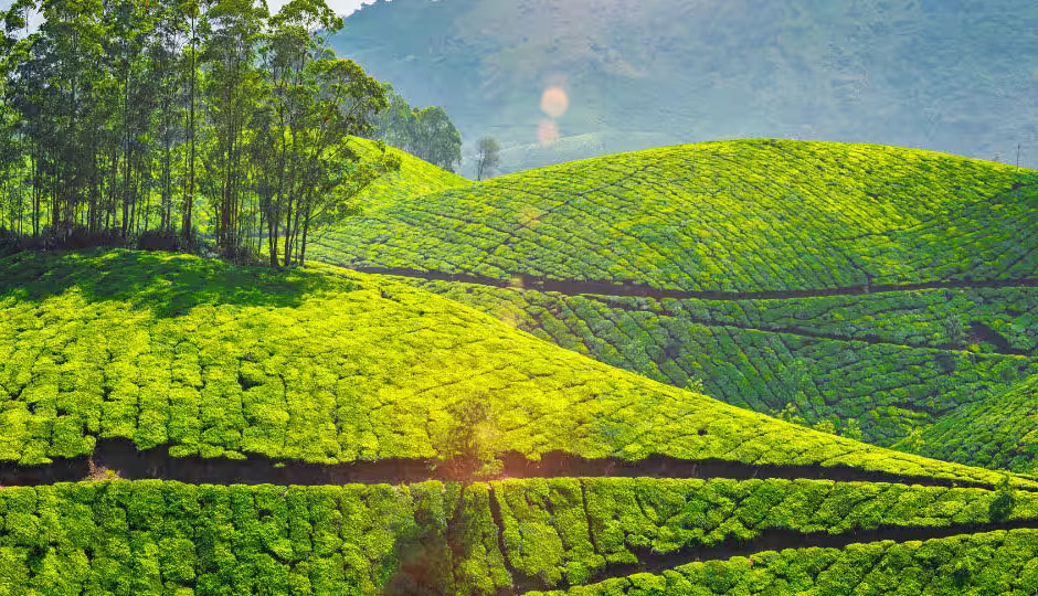 10 Amazing Places To Visit in Coonoor