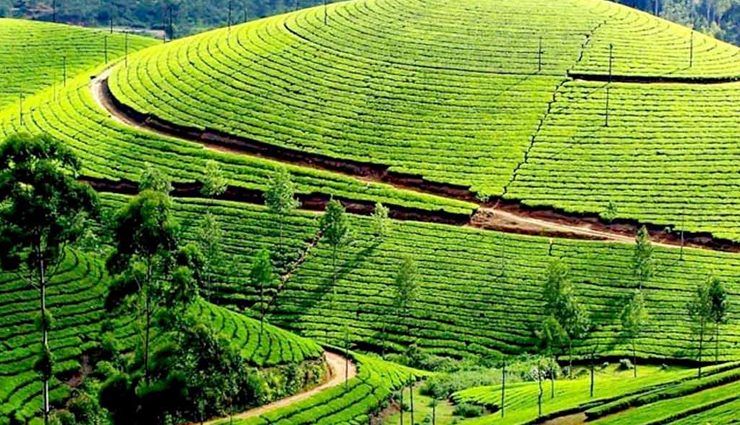 tamil nadu,tamil nadu honeymoon destinations,honemoon places in tamil nadu,travel,holidays