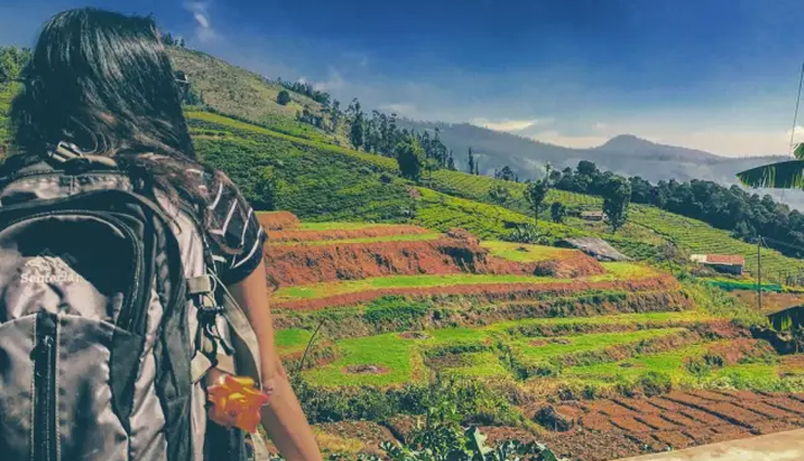 things to do in coonoor,coonoor attractions,must-see places in coonoor,coonoor travel guide,coonoor sightseeing,best activities in coonoor,coonoor tea estates,coonoor waterfalls