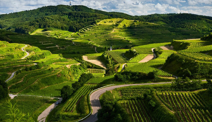 honeymoon,honeymoon destinations in india,best honeymoon destinations in india,india tourism,tourist places in india,india tourism,holidays,travel tips