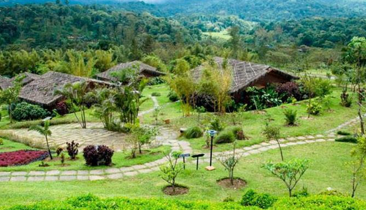 karnataka tourist destinations,best places to visit in karnataka,karnataka tourism attractions,popular tourist places in karnataka,famous places to visit in karnataka,karnataka tourist guide,karnataka travel tips,top tourist spots in karnataka,karnataka tourism hotspots,must-visit places in karnataka,karnataka sightseeing,karnataka historical places,karnataka hill stations,karnataka beaches,karnataka wildlife sanctuaries,karnataka temples,karnataka adventure tourism,karnataka cultural tourism,karnataka city tourism,karnataka rural tourism