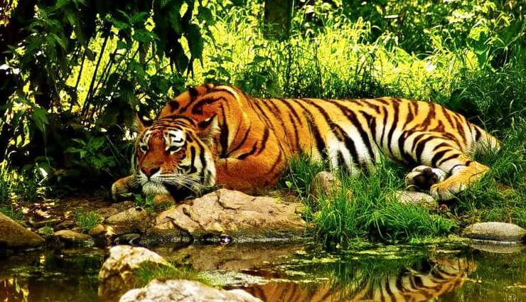 most beautiful places in coorg,scenic spots to visit in coorg,coorg picturesque destinations,must-see beautiful places in kodagu,coorg natural wonders,top attractions in coorg,visually stunning spots in coorg,coorg breathtaking landscapes,iconic sights in kodagu,coorg travel beauty spots