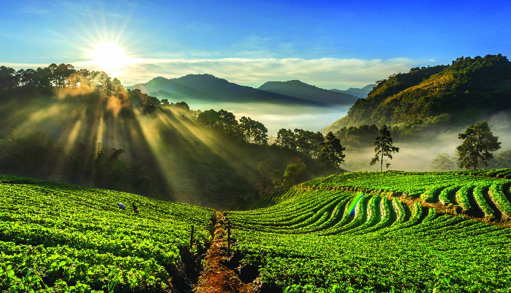 spring hill stations india,kashmir spring blooms,munnar spring weather,shillong rhododendrons spring,coorg coffee blossoms spring,ooty botanical gardens spring,darjeeling himalayan spring,india spring travel destinations,best hill stations in spring,springtime beauty in indian hill stations