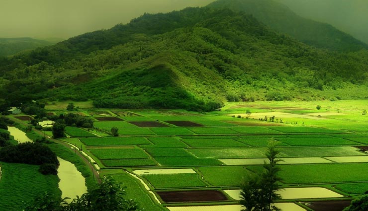 tourist places,indian tourist places,tourist places for rainy season,beautiful tourist places