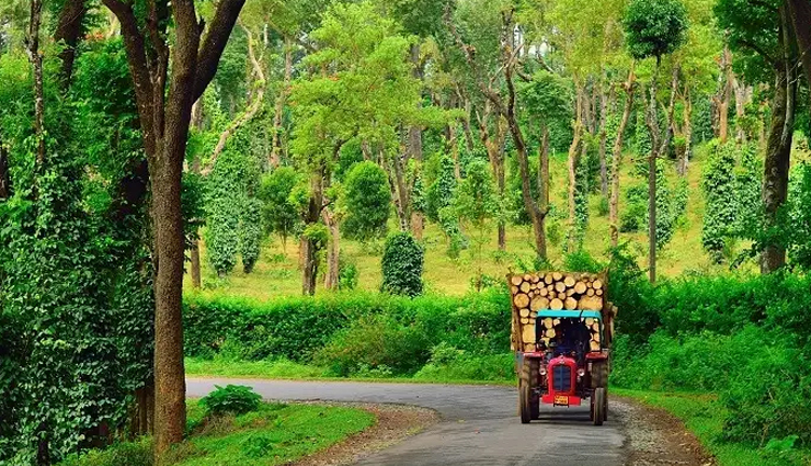 places to visit in november in india,top november destinations in india,india travel in november,november tourist spots in india,best indian places to visit in autumn,november weather in india,indian festivals in november,november vacation ideas india,indian travel recommendations november,autumn getaways india