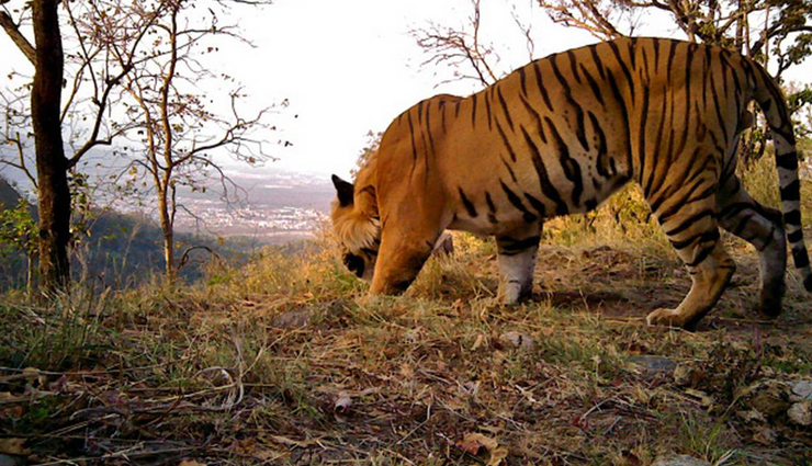 north india,north india tourism,tourist places in north india,north and south region,travel,tourism