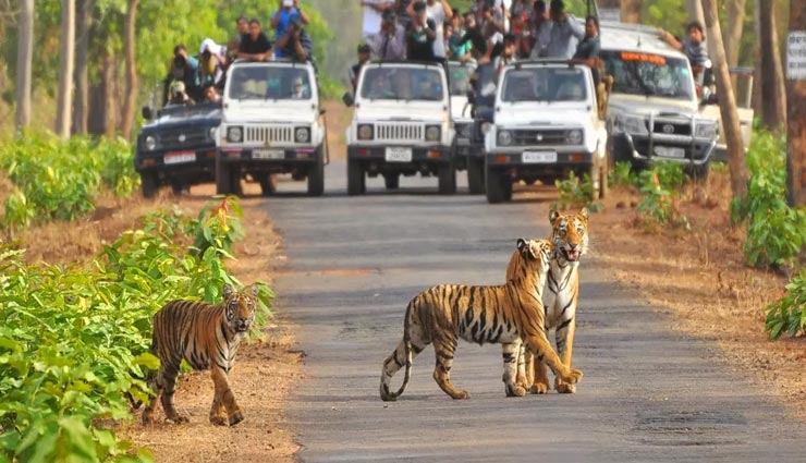 दिल्ली में भी पहुंचा मॉनसून, सावन में घूमने के लिए बेहतरीन रहेगी ये 5 जगहें