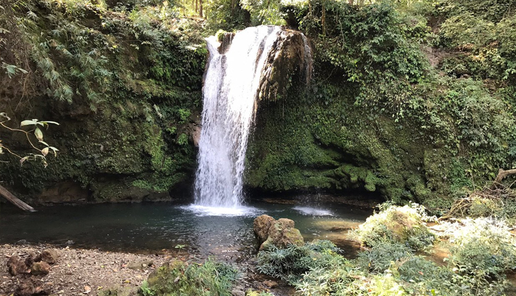 jim corbett,jim corbett national park,jim corbett safari,travel