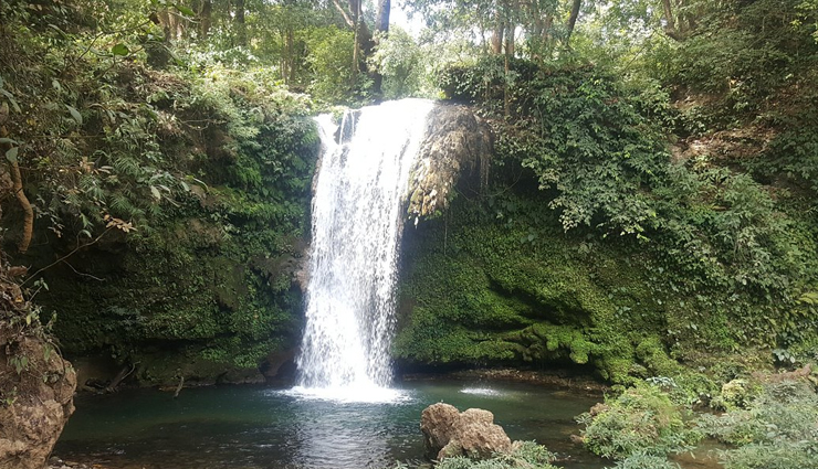 jim corbett national park,untamed adventures,wildlife safari,nature exploration,wildlife photography,tiger reserve,corbett national park guide,jim corbett travel tips,best time to visit corbett,adventure activities,wildlife encounters,corbett national park attractions,eco-tourism,nature conservation,wildlife conservation,corbett national park travel guide