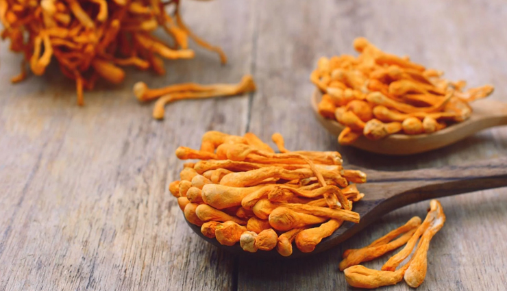 medicinal mushrooms,medicinal mushrooms  for health problems,healthy living,Health tips