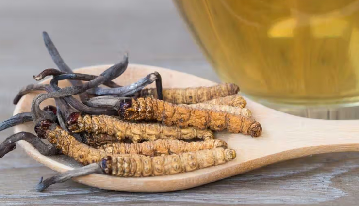7 Least Known Health Benefits of Cordyceps