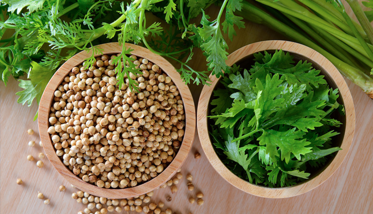 7 Reasons Why Coriander is Good For Your Health