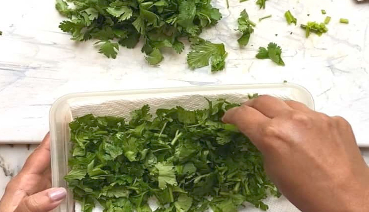 सब्जी की रंगत बढ़ाने का काम करता हैं धनिया, इन टिप्स की मदद से रखें इसे कई दिनों तक ताजा tips to store coriander for long time,household tips
