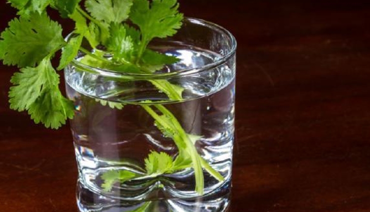 coriander water for weight loss,coriander leaves drink benefits,weight loss with coriander seeds,coriander infused water benefits,coriander drink for fat loss,coriander seed drink recipes,using coriander for weight management,coriander detox drink for weight loss,coriander leaf tea benefits,coriander weight loss tonic