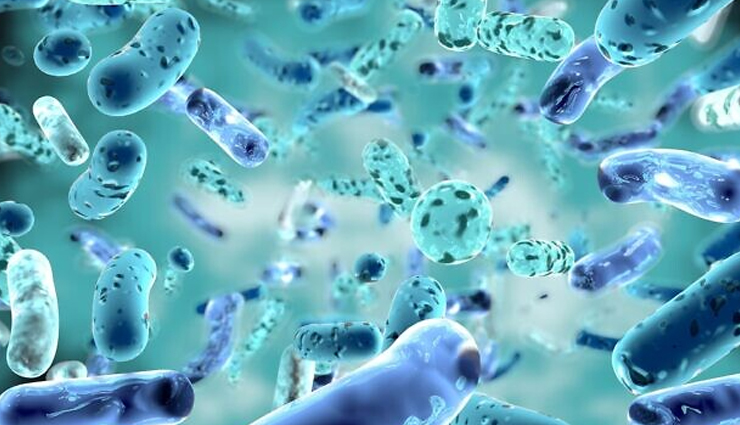 coriander seeds,health benefits of coriander seeds,Health tips,fitness tips