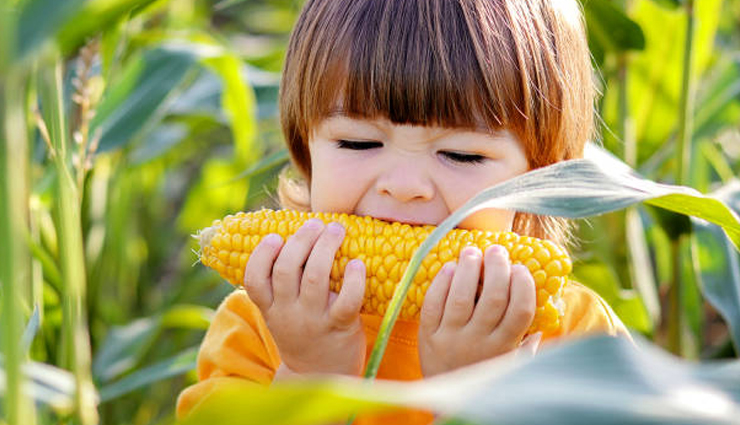 health benefits of corn,is corn a vegetable or grain,corn nutrition facts,maize health benefits,corn in monsoon,gluten-free grains,fibre-rich foods,antioxidants in corn,lutein and zeaxanthin,corn for digestion,corn vitamin content,monsoon snacks