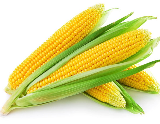 Corn Helps in Improving Skin Texture. Read More for Other Benefits