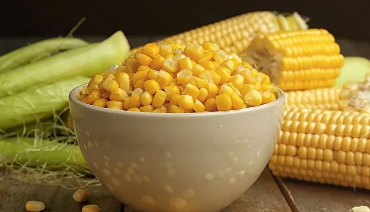 world vegetarian day,world vegetarian day 2022,high protein food,rich protein food for vegetarian,healthy food,healthy living,Health tips