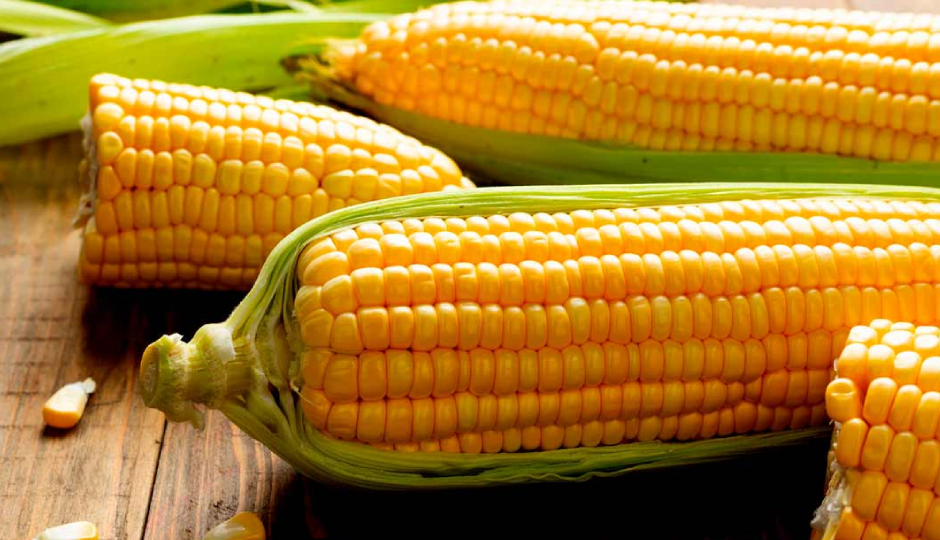 corn cheela,corn cheela tasty,corn cheela healthy,corn cheela delicious,corn cheela ingredients,corn cheela recipe,corn cheela rainy season,corn cheela monsoon,bhutte ka cheela