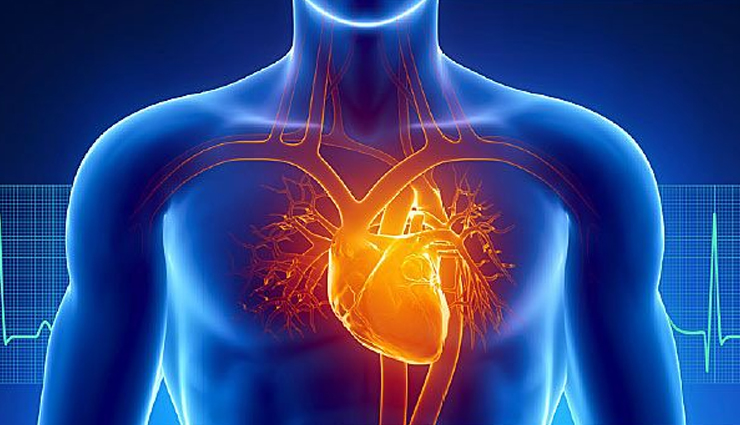 corn,health benefits of corn,Health tips,fitness tips