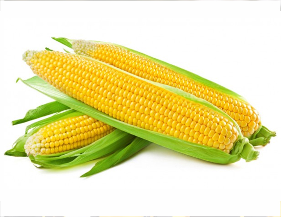 Prevent Cancer By Adding Corn More in Diet This Monsoon