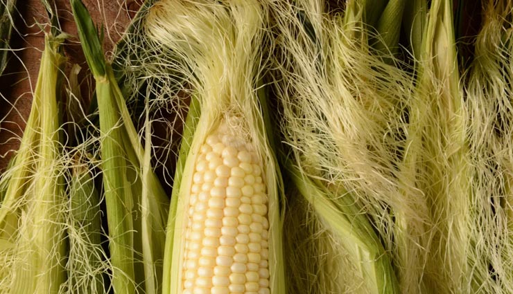 Health tips,health tips in hindi,kidney stone,home remedies