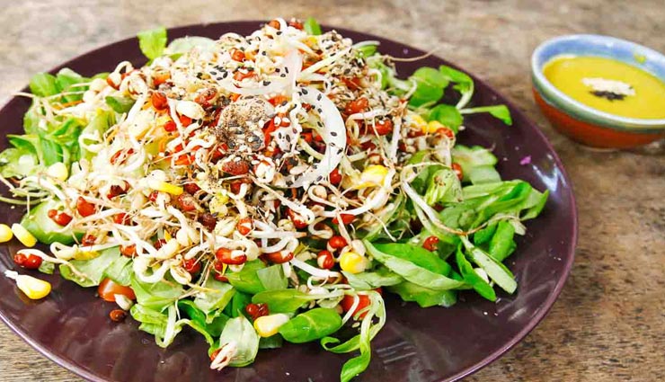 Summer Special : गर्मियों में आपकी सेहत बनाए रखेंगे ये 4 तरह के सलाद, रखें खुद को स्वस्थ 