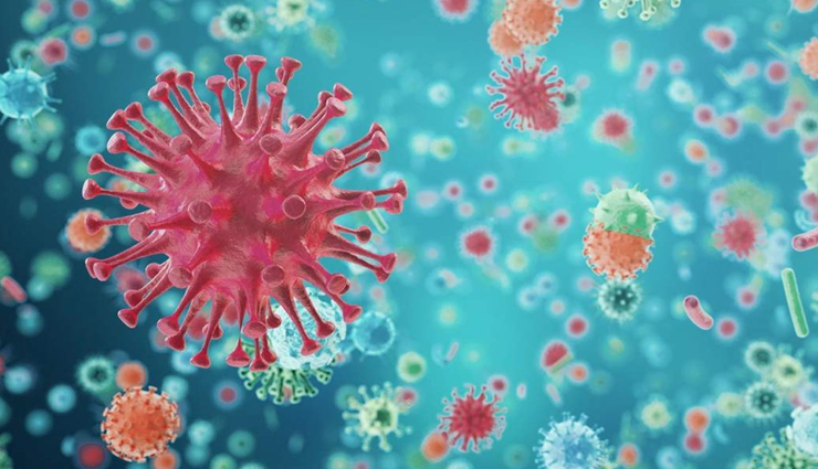 अजमेर : फ्रांस से आई महिला टूरिस्ट हुई कोरोना संक्रमित, संपर्क में आए 10 लोगों के लिए सैंपल 