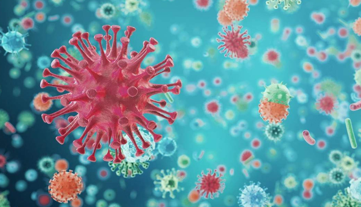 राजस्थान : कोरोना से एक बार फिर बिगड़ रहे हैं हालात, 5 माह बाद सबसे ज्यादा 42 संक्रमित, एक की मौत