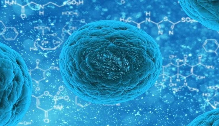 IIT की शोध में हुआ कोरोना को लेकर खुलासा, बात चिंता बढ़ाने वाली