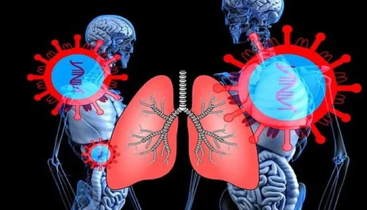 कोरोना को लेकर सामने आई नई रिसर्च, महज कुछ ही घंटो में फेफड़ों को बर्बाद कर सकता हैं वायरस