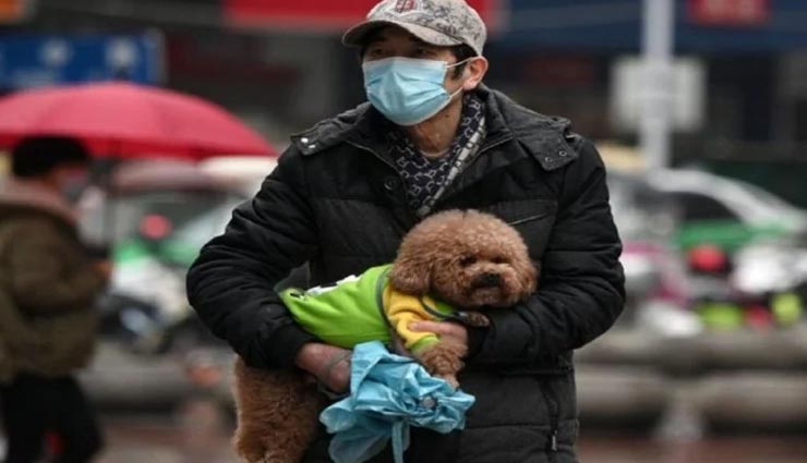 आखिर कैसे इंसानी शरीर में आसानी से प्रवेश कर रहा कोरोना, बल्कि जानवरों में नहीं