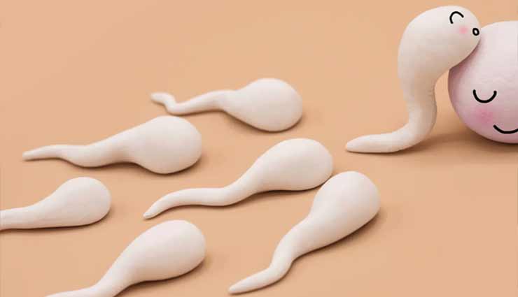 30 दिन तक ना करें कोरोना से ठीक होने के बाद भी सेक्स, जानें क्यों 