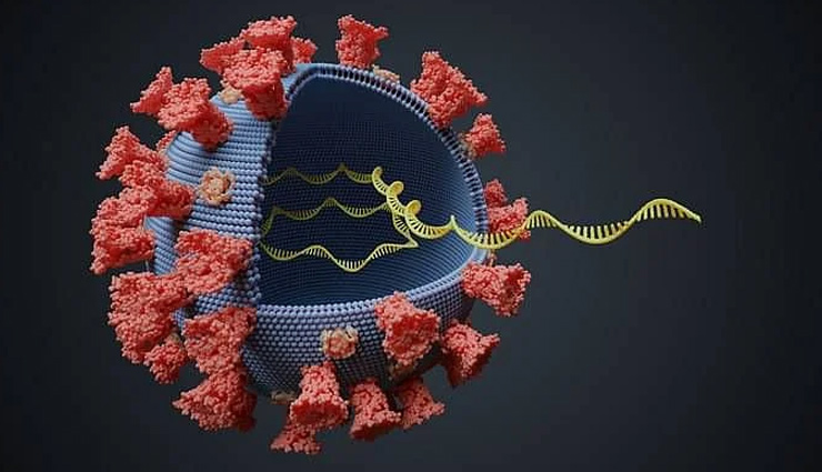 एक और मुसीबत! कोरोना वायरस का नया वैरिएंट आया सामने, ज्यादा संक्रामक और वैक्सीन को कर सकता है बेअसर