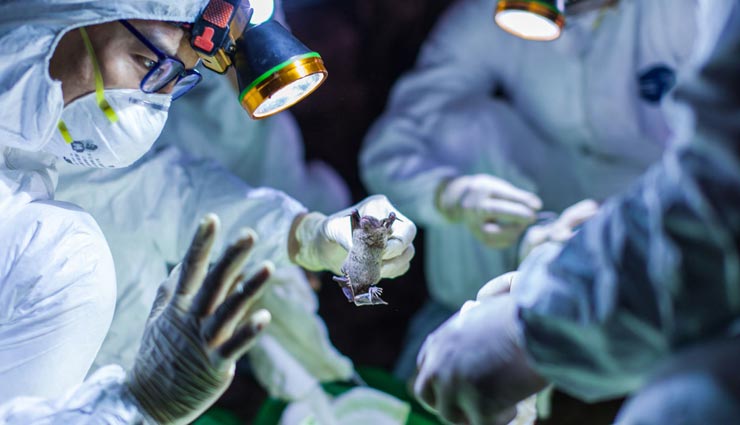 क्या कोरोना से मौत की वजह बन रही बॉडी में विटामिन डी की कमी? 