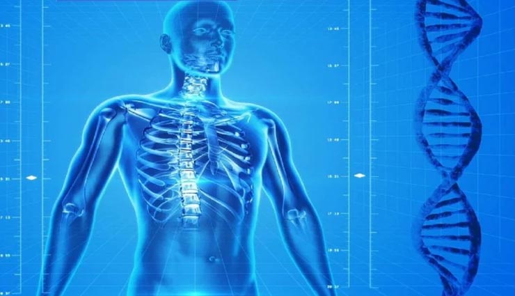 कोविड-19 से ठीक हुए मरीजों की जांच में खुलासा, युवाओं से ज्यादा बुजुर्गों में 'एंटीबॉडी'