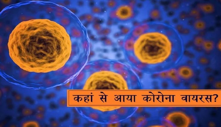 इटली की यह स्टडी करती हैं कोरोना की शुरुआत को लेकर चौंकाना वाला खुलासा!