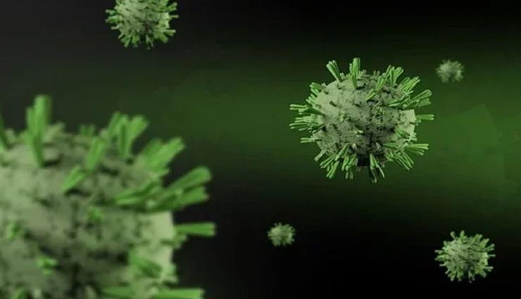 WHO की वैज्ञानिक ने बताया कब मिलेगी कोरोना वायरस से मुक्ति!