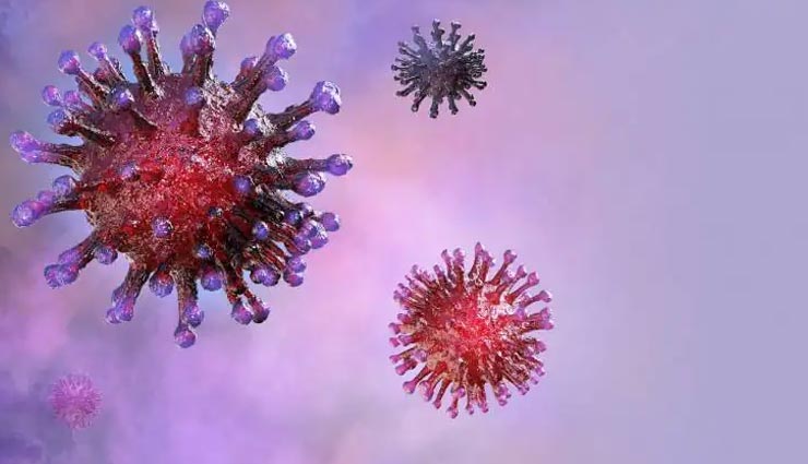 नागौर : नहीं थम रहा मौत का तांडव, तीन लोगों ने गंवाई जान, मिले 123 नए संक्रमित