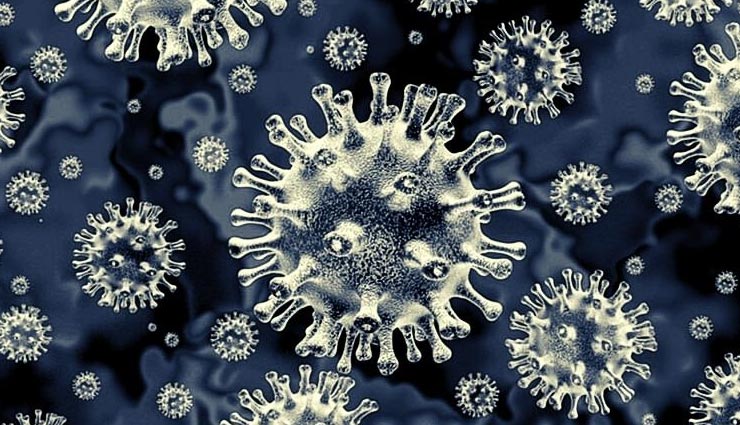 सवाई माधोपुर : लगातार गिर रहे कोरोना ग्राफ ने दी राहत, 35 नए पॉजिटिव जबकि 78 हुए रिकवर