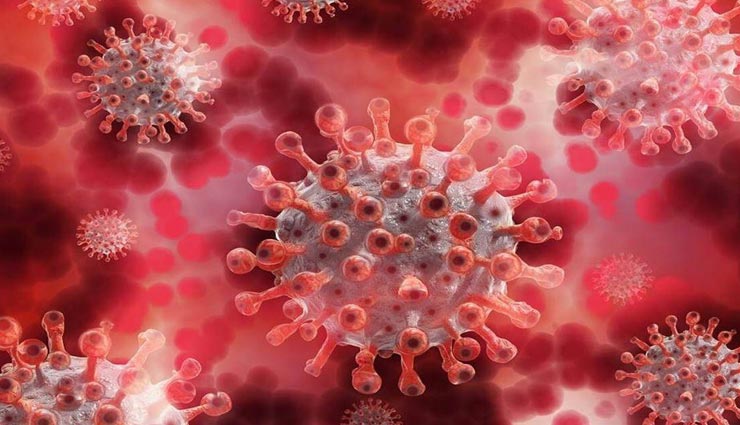 भरतपुर : शांत होने लगी कोरोना की दूसरी लहर, मिले 49 नए मरीज, एक संक्रमित की मौत