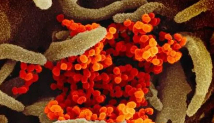 coronavirus outbreak,69 year old woman died,delhi rml,woman died india,coronavirus,america,donald trump,news