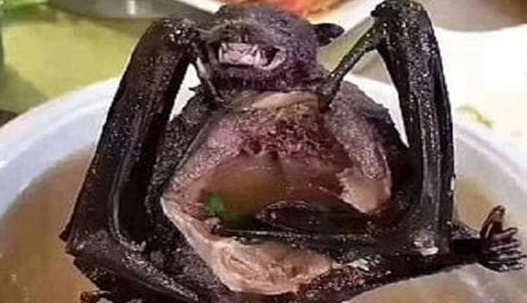 coronavirus,corona virus,symptoms of dangerous,protect of coronavirus,disease of coronavirus,medicine of coronavirus,weird news