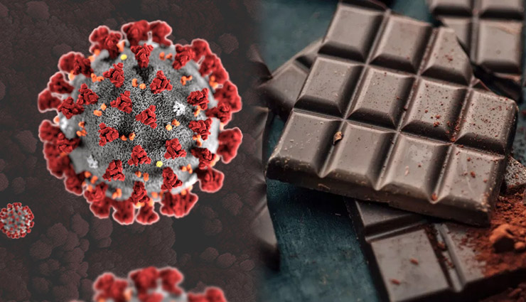 रिसर्च  / चॉकलेट से बढ़ती है आपकी इम्युनिटी, कोरोना वायरस के असर को करती है कम