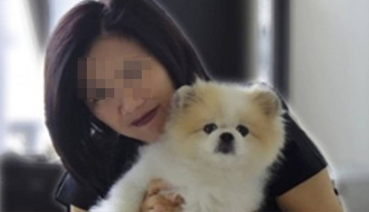 इंसान से जानवर में ट्रांसफर हुआ कोरोना, हांगकांग में पालतू कुत्ता हुआ शिकार