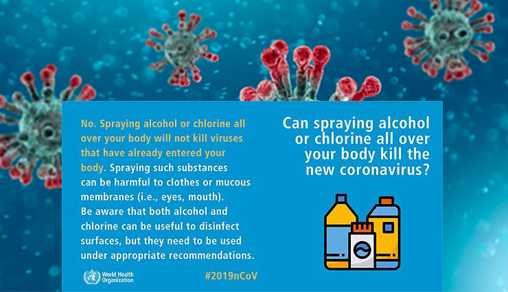 who,world health organization,coronavirus,Health