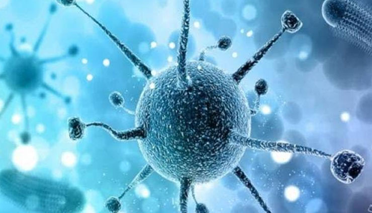 novel coronavirus,corona india,corona death,corona,hyderabad news,coronavirus news,weird news